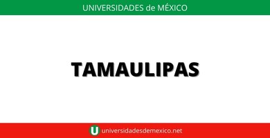 universidad en tamaulipas privada